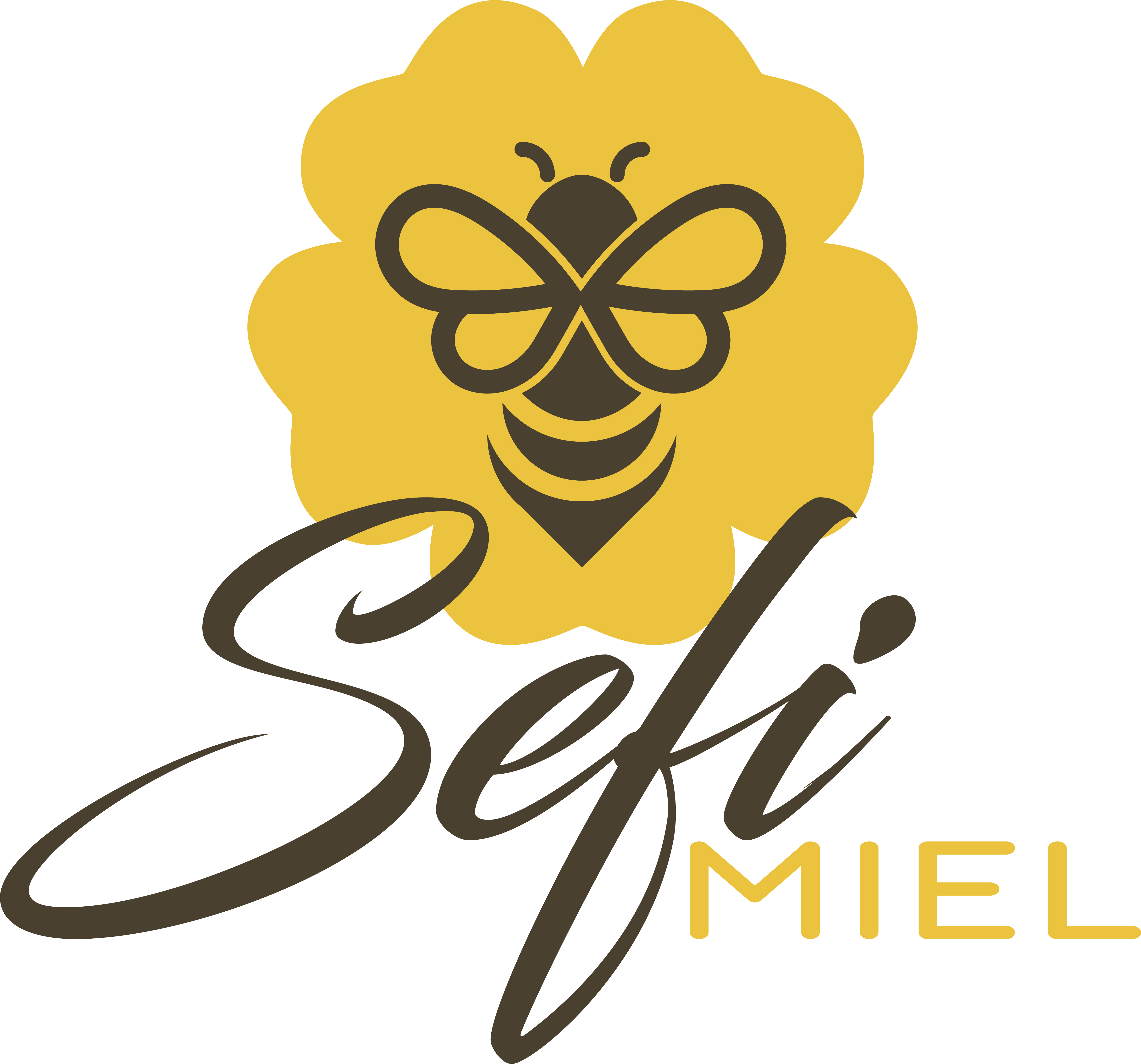 MIEL SEFI